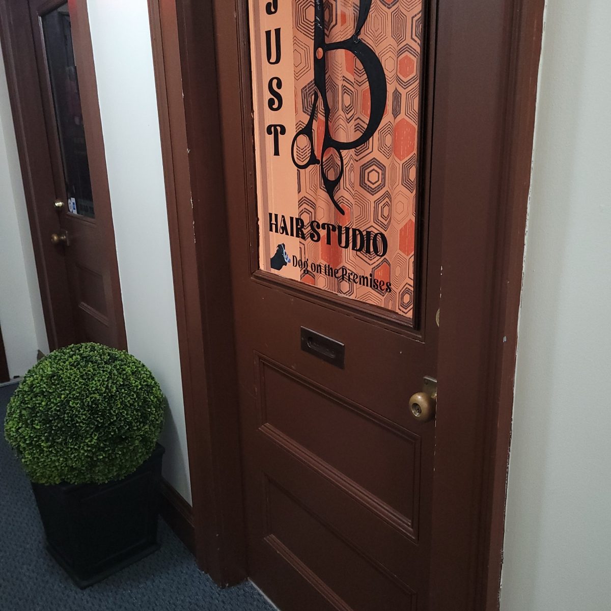 IMG_20260309_094332 (2)